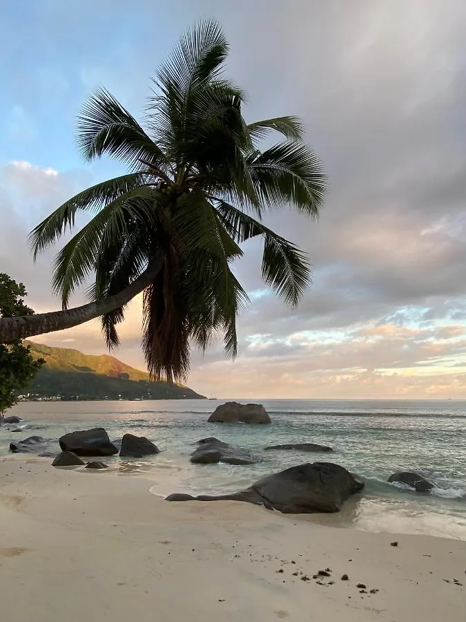 Crystal Shores Self Catering Apartments - Beau Vallon, Seychelles Beau Vallon  Seychelles